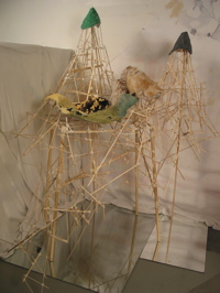 IMG_9839.JPG
