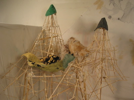 IMG_9837.JPG